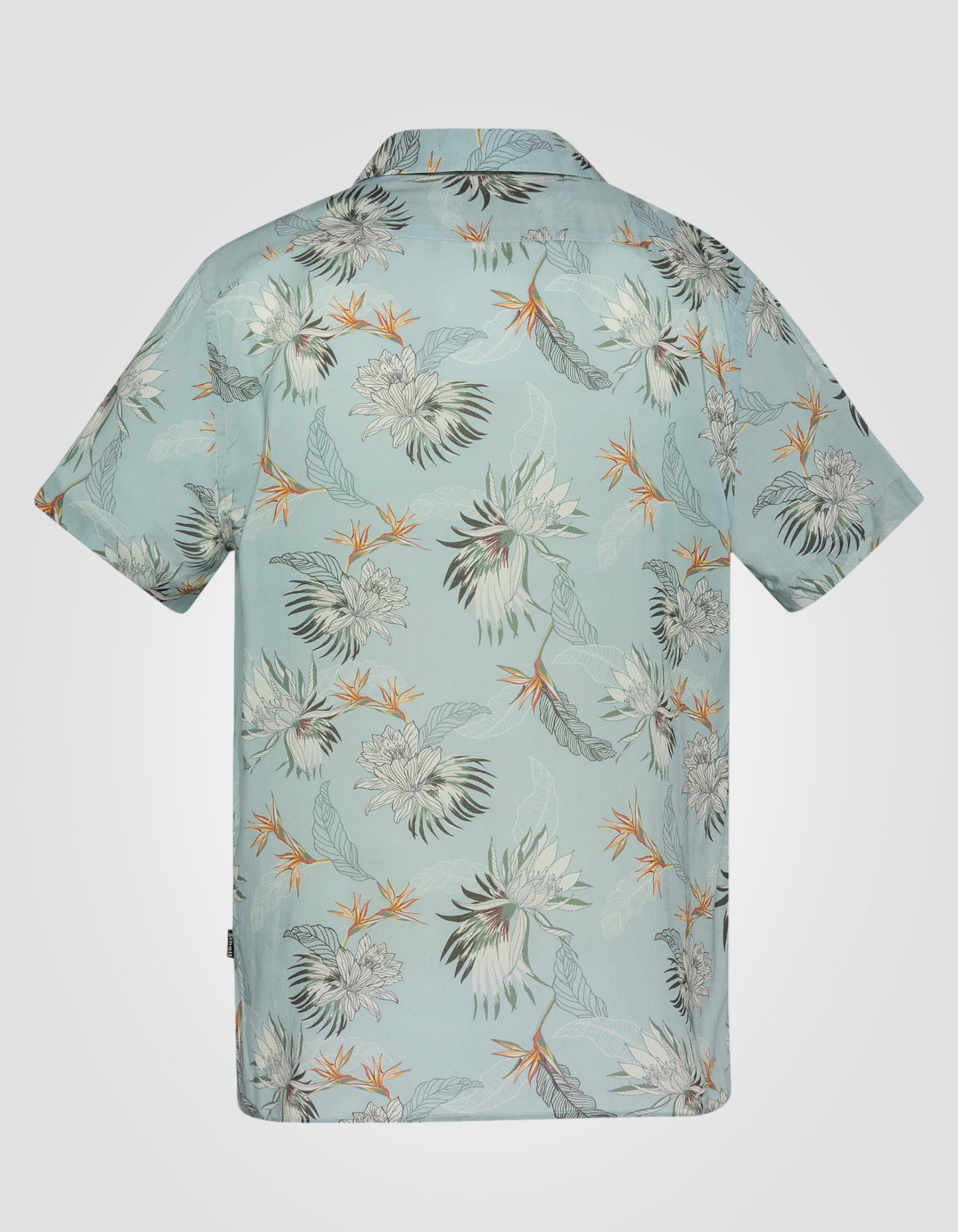 Hawaian shirt