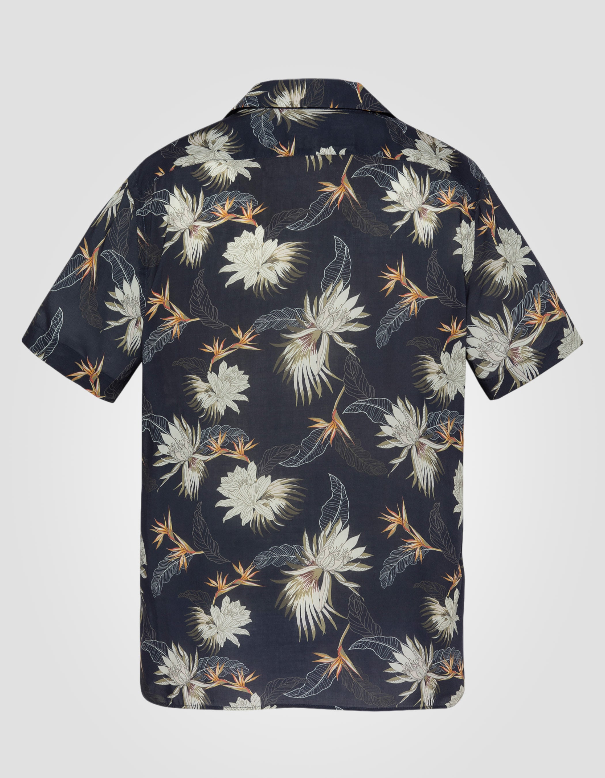 Hawaian shirt-2