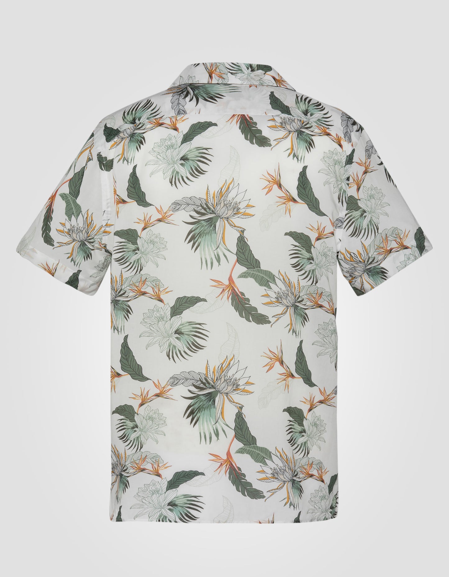 Hawaian shirt